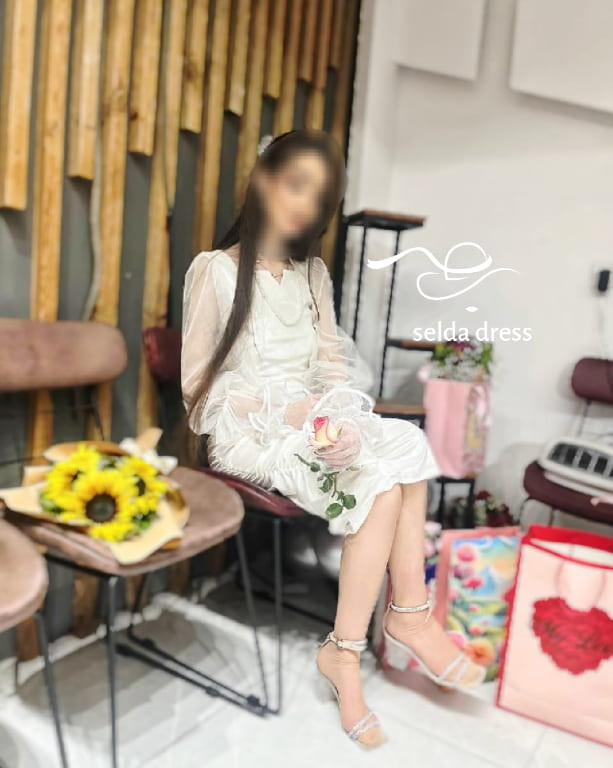 مجلسی شیک کوتاه